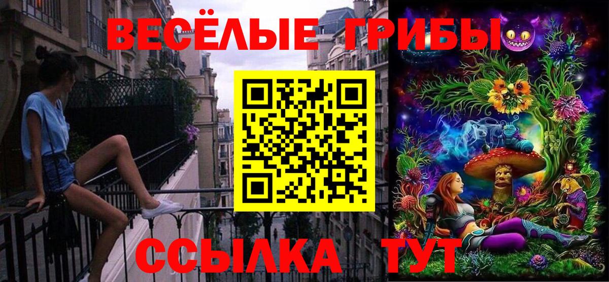 Псилоцибиновые грибы MAGIC MUSHROOMS  Вход с VPN  Галлюциногенные грибы Magic Shrooms  Новоалександровск 
